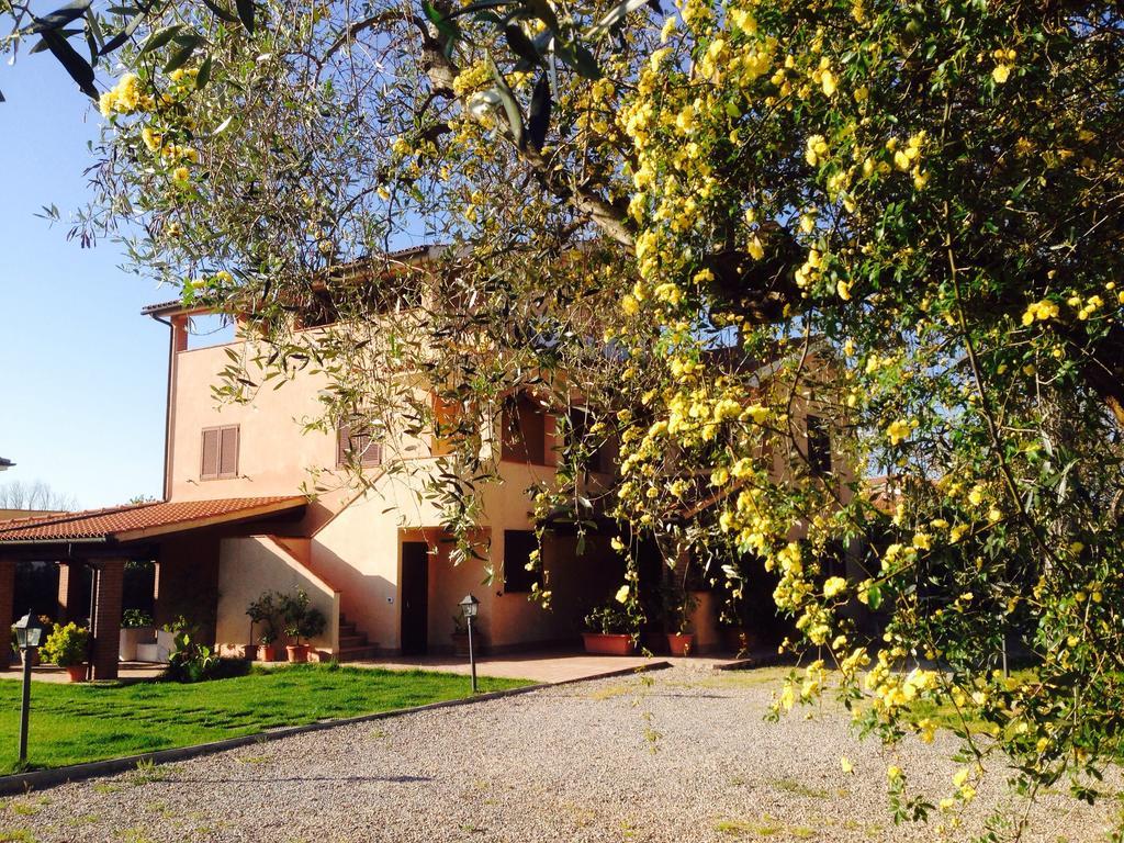 Appartamenti Gli Ulivi Di Maremma Gavorrano Exterior foto